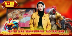 Trực Tiếp Đá Gà Thomo Campuchia - Cách Cược Trận Gà Chuẩn